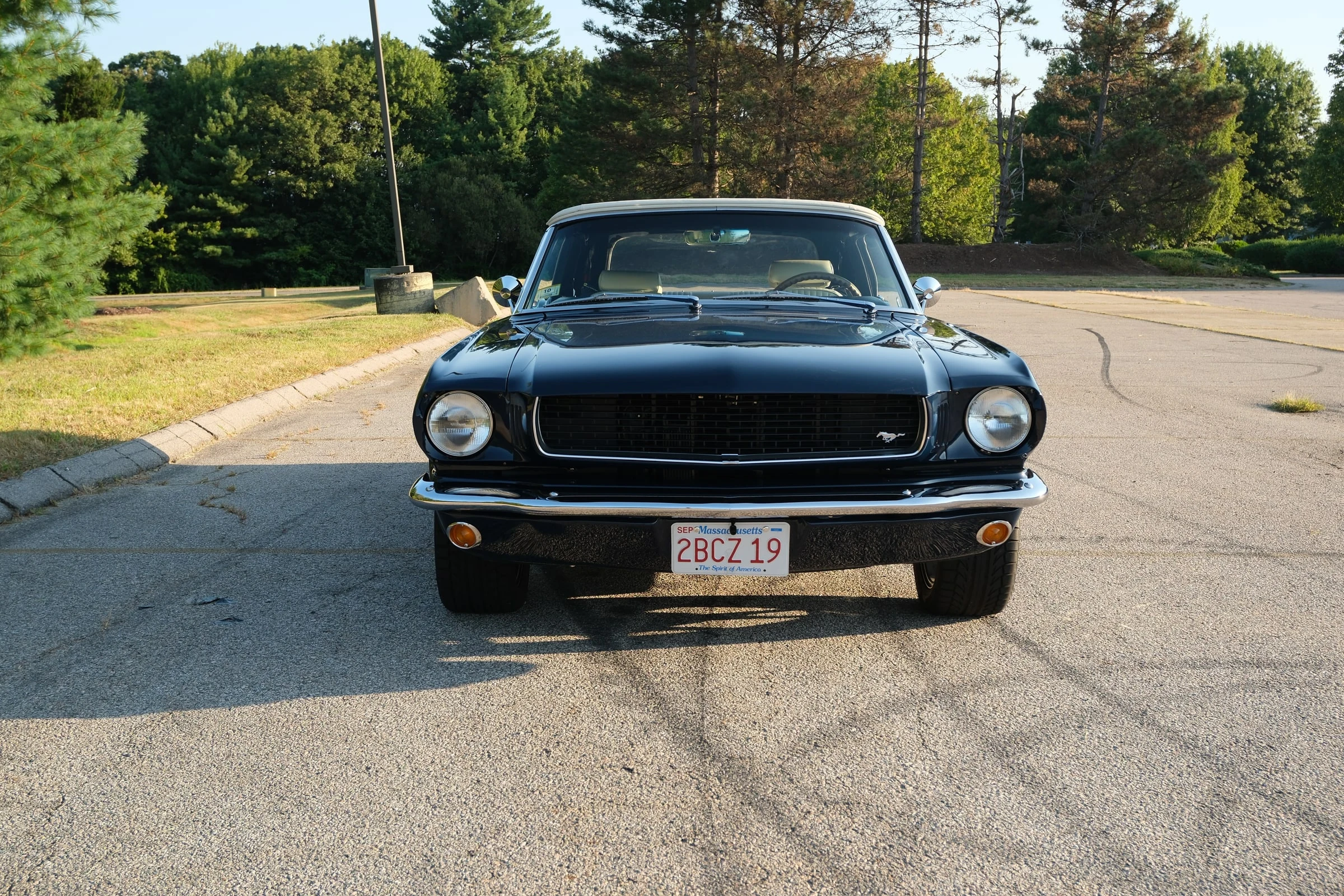 Polished Mustang exterior top-down option