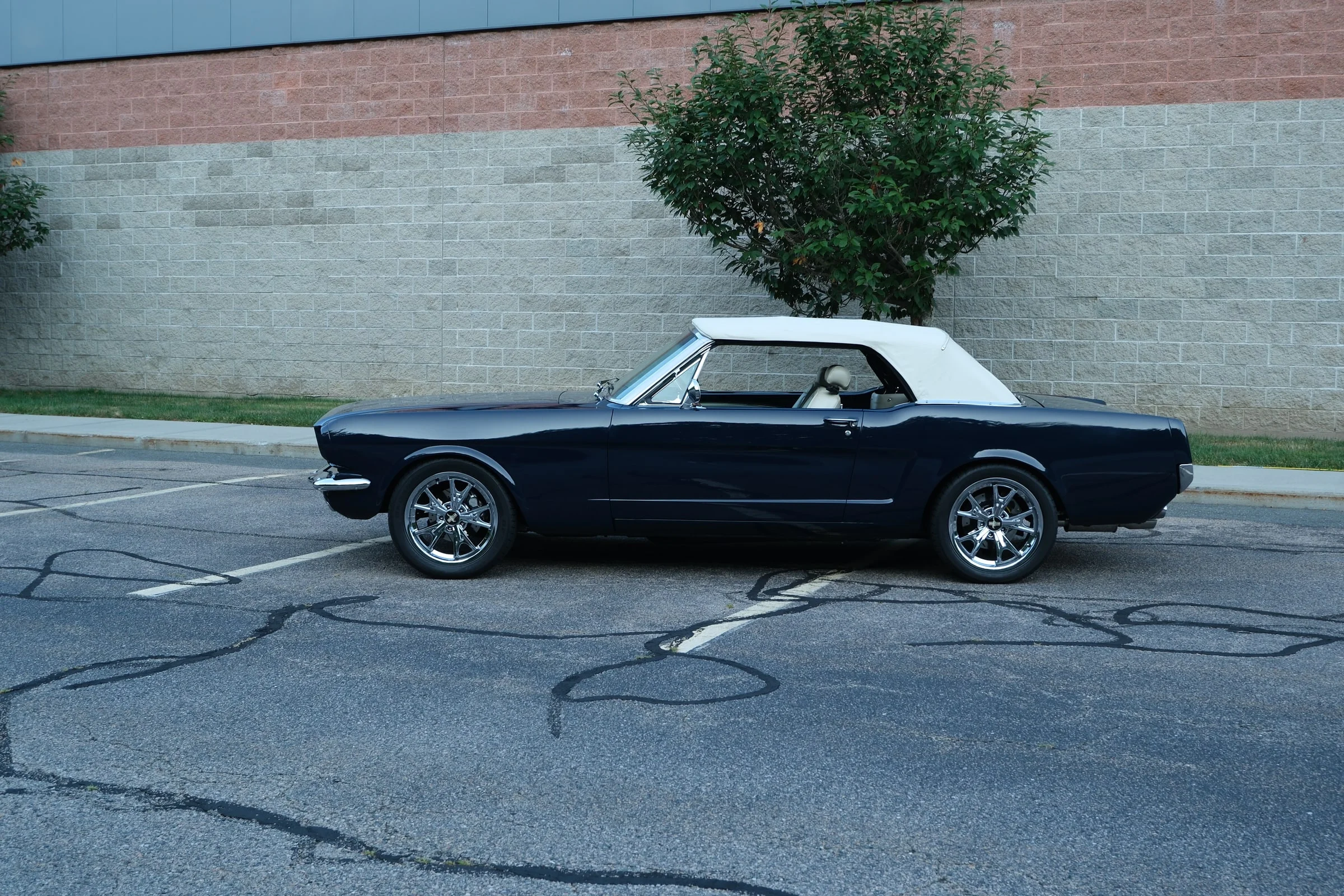 Mustang convertible top up