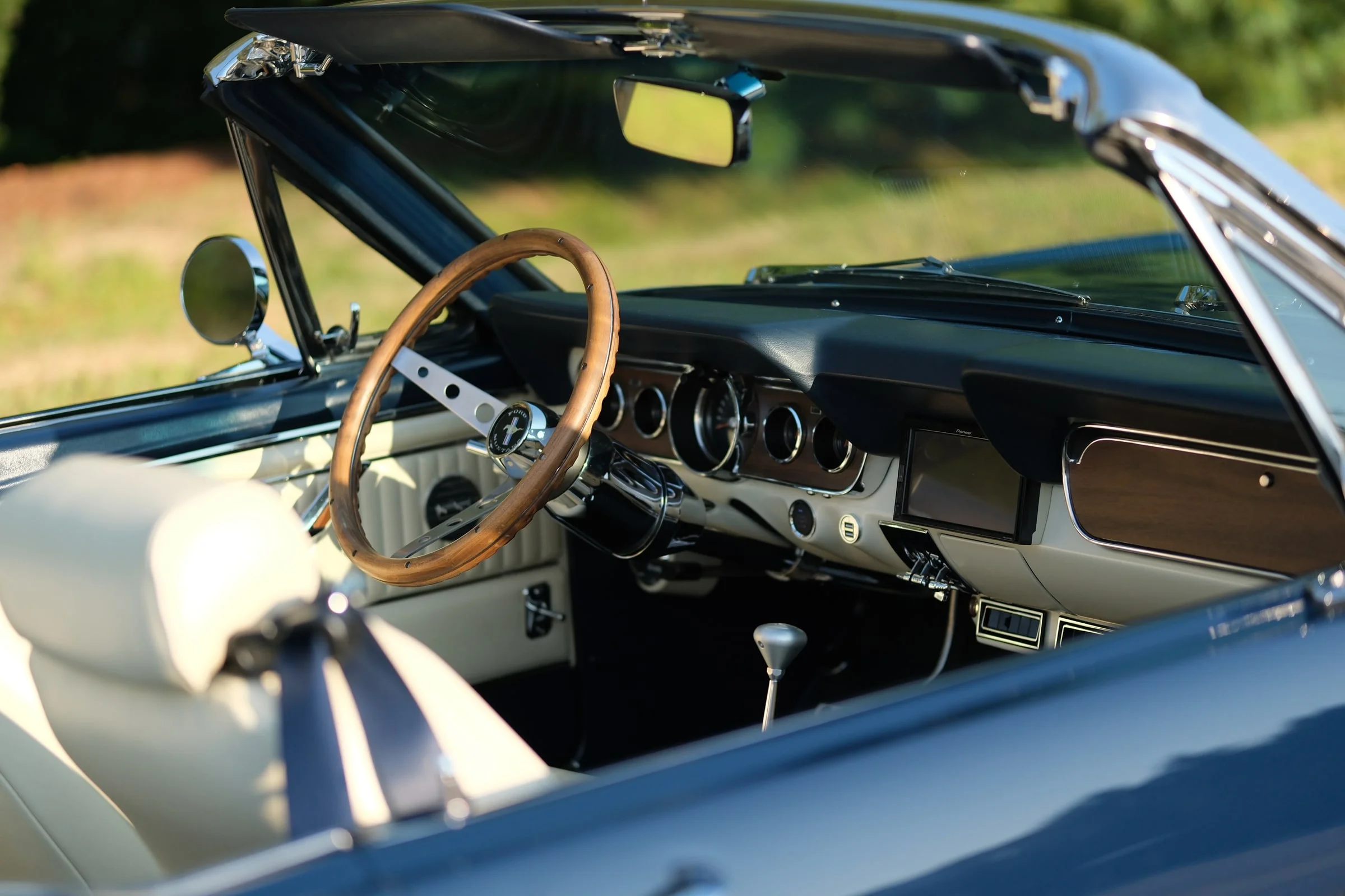 Pony dash and door trim